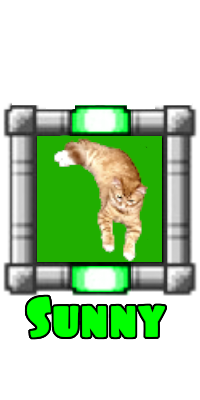 maceholder.png